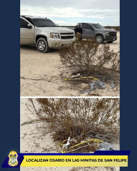 Picture of undefined