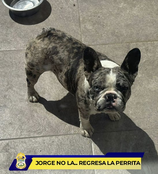 Picture of undefined