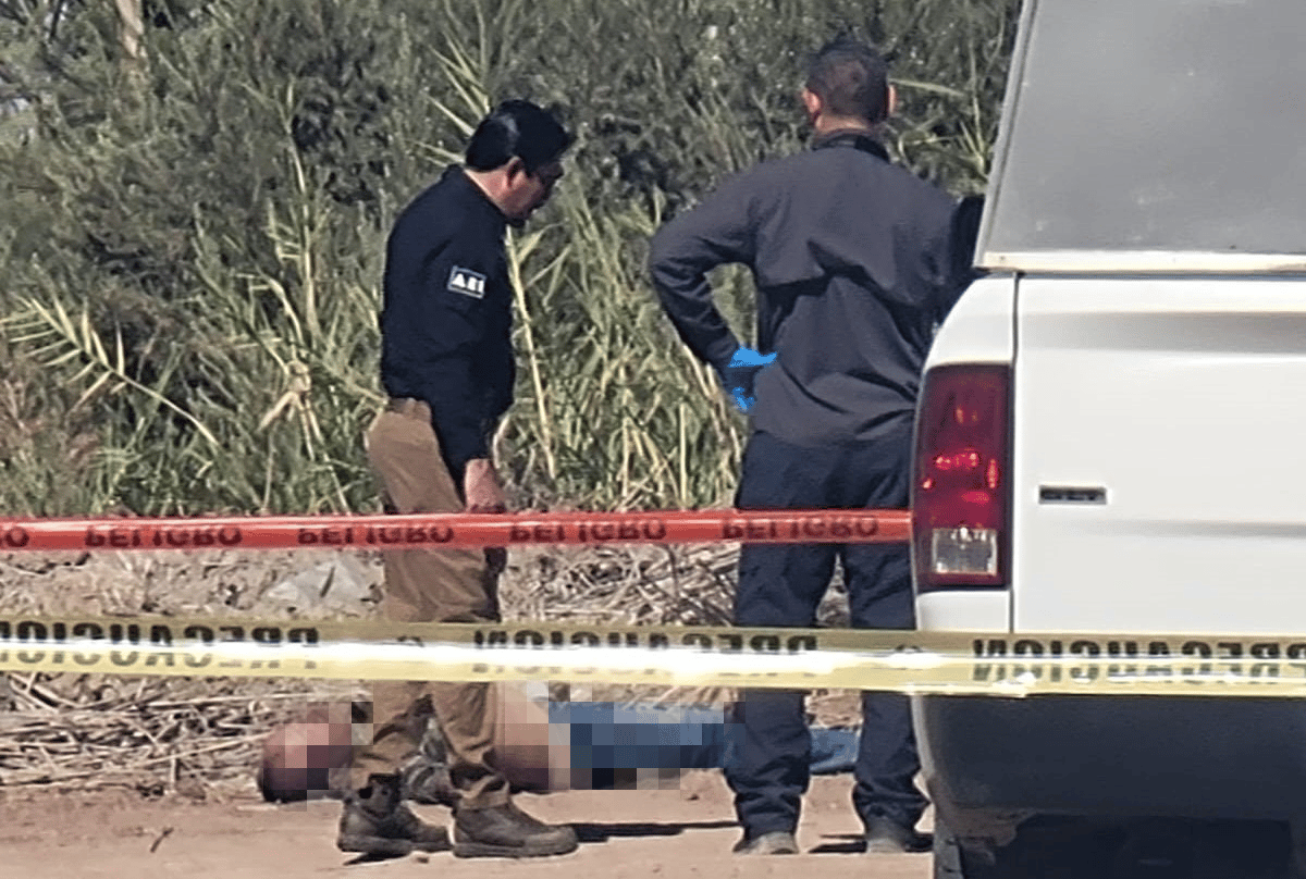 Picture of undefined