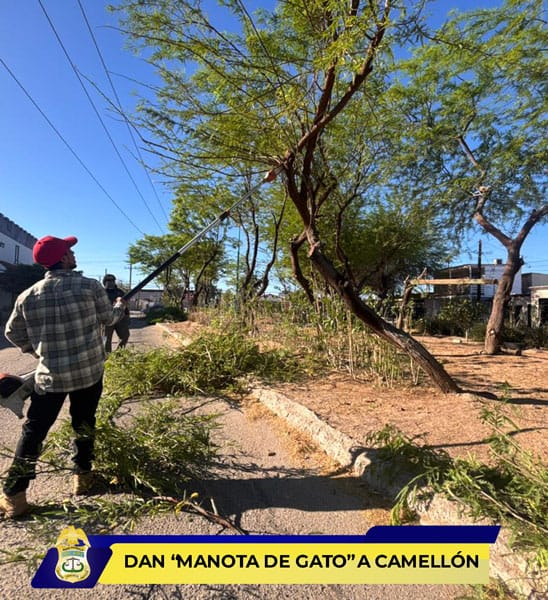 Picture of undefined