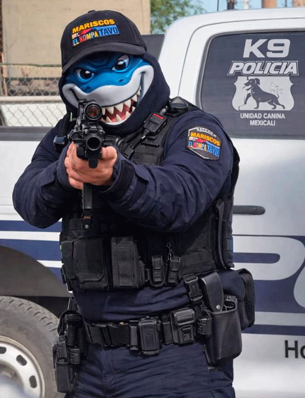 Picture of undefined