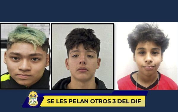 Picture of undefined