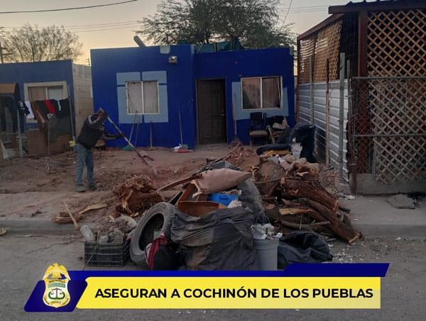 Picture of undefined