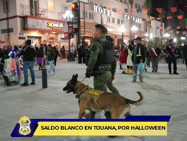 Picture of undefined