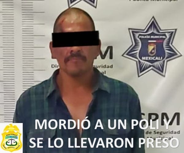 Picture of undefined