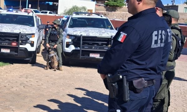 Picture of undefined