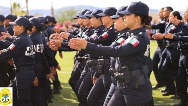 Picture of undefined