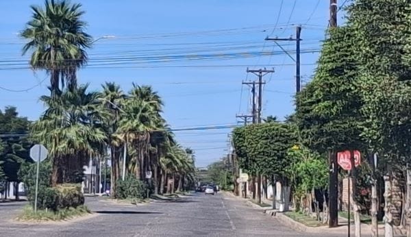 Picture of undefined