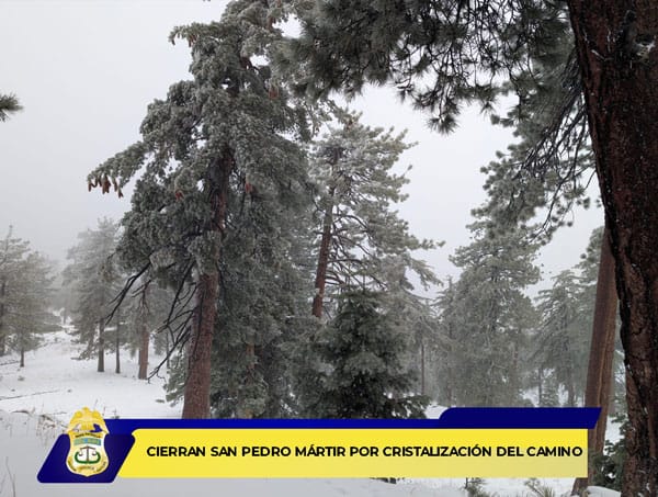 Picture of undefined