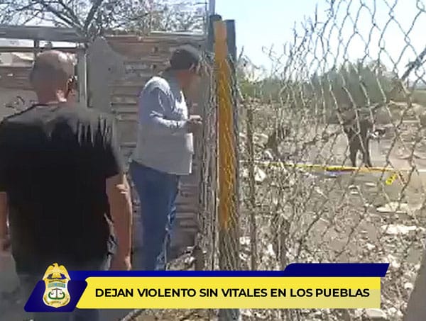 Picture of undefined