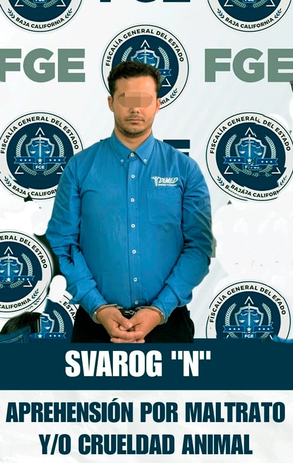 Picture of undefined