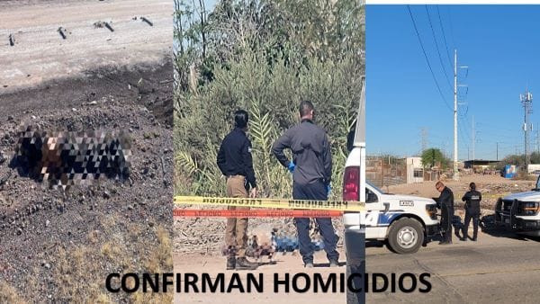 Picture of undefined