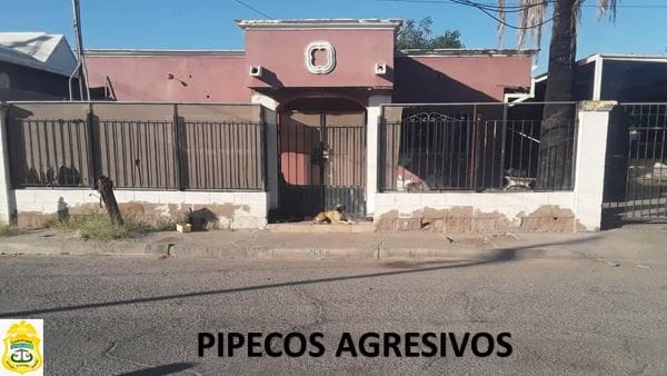 Picture of undefined