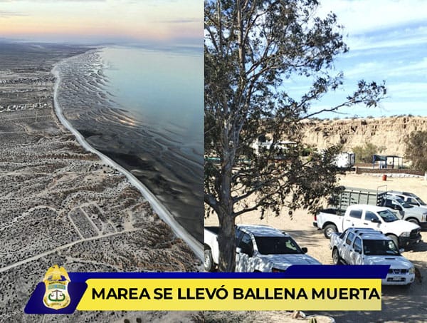 Picture of undefined