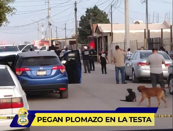 Picture of undefined