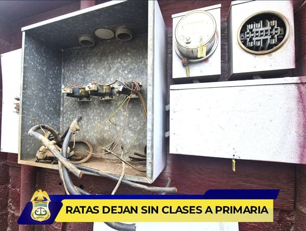 Picture of undefined