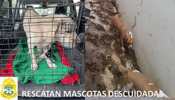 Picture of undefined