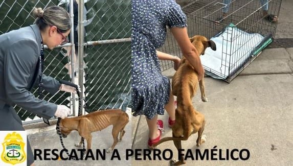 Picture of undefined