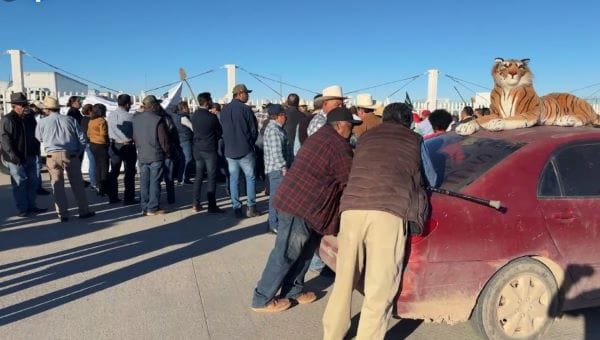 Picture of undefined