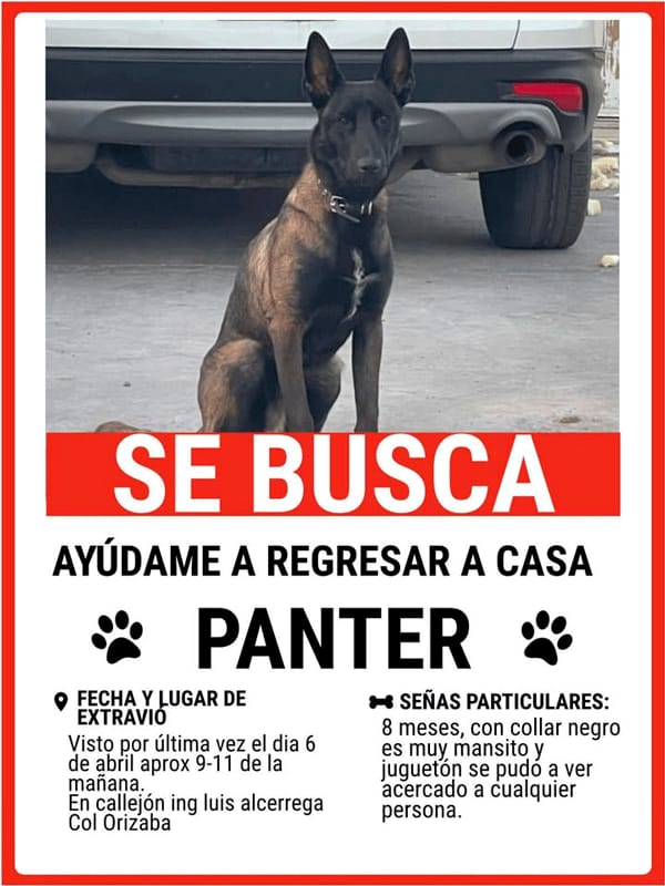 Picture of undefined