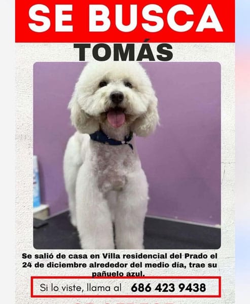 Picture of undefined