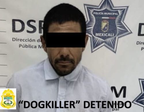 Picture of undefined