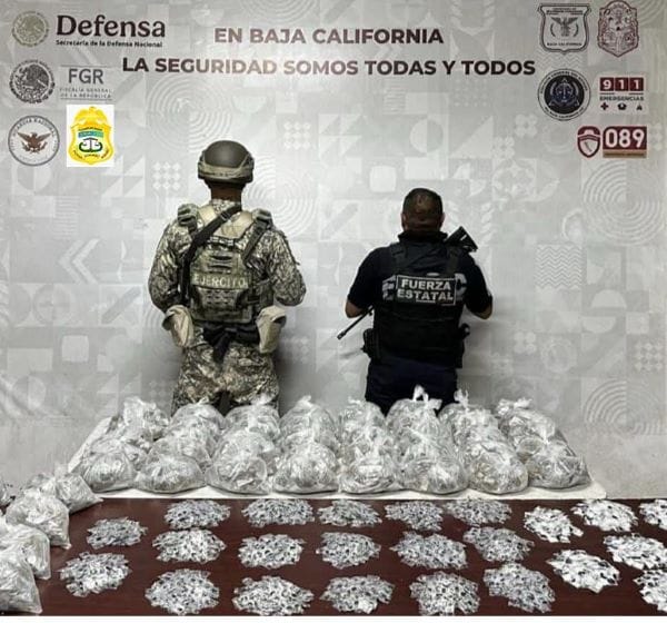 Picture of undefined