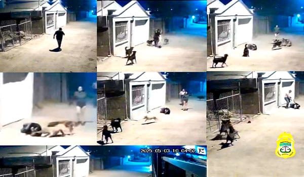 Picture of undefined