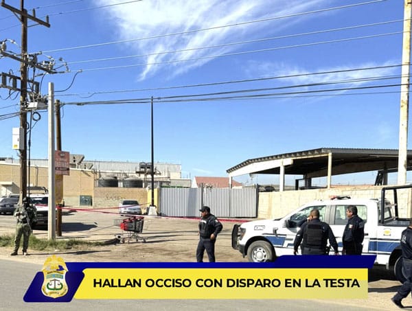 Picture of undefined