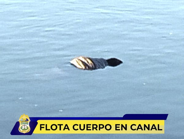 Picture of undefined