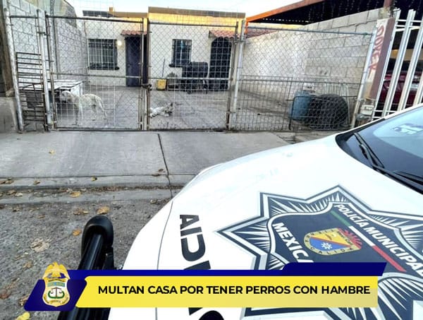 Picture of undefined