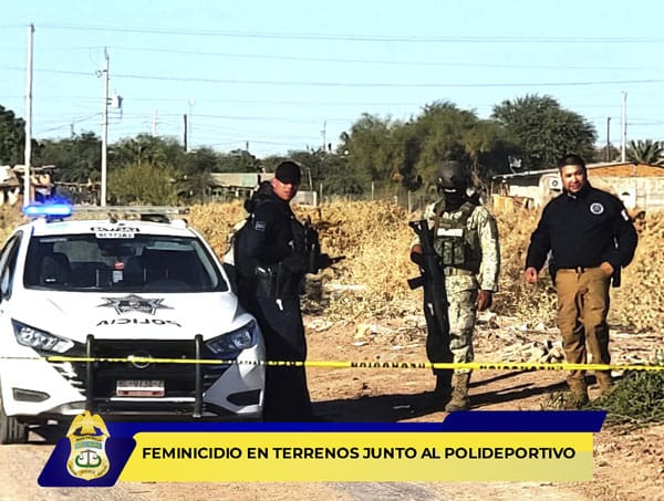 Picture of undefined