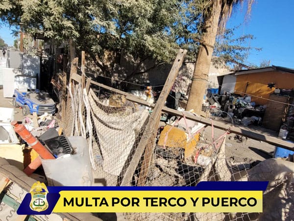 Picture of undefined