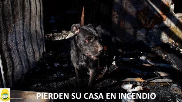 Picture of undefined