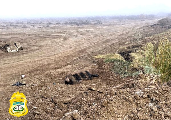 Picture of undefined