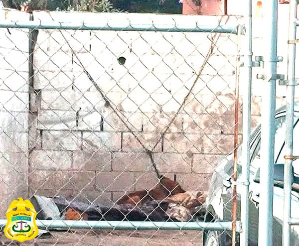 Picture of undefined