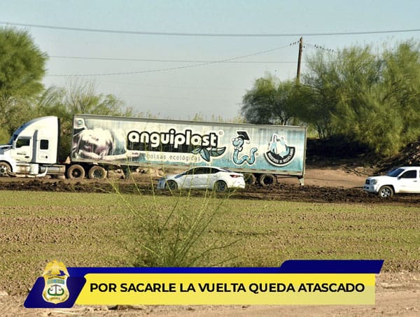 Picture of undefined