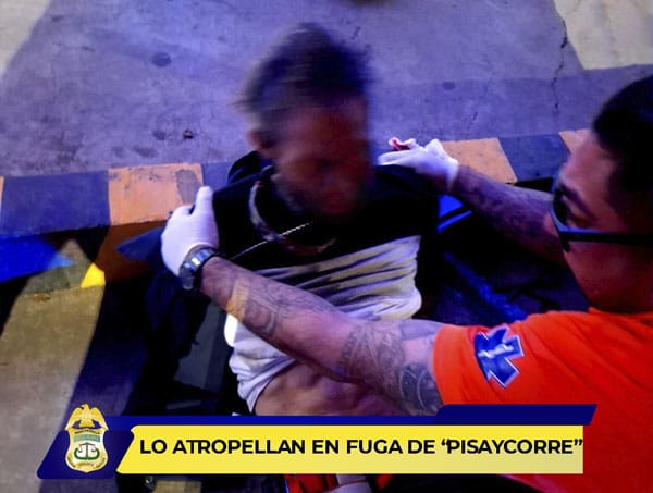 Picture of undefined