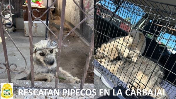 Picture of undefined