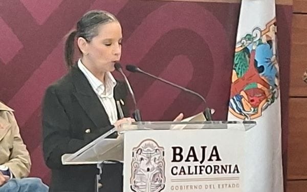 Picture of undefined