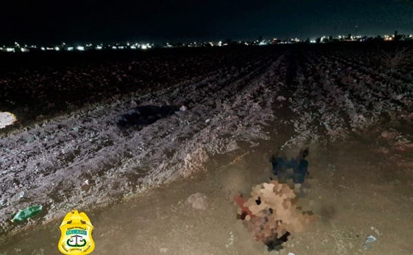 Picture of undefined