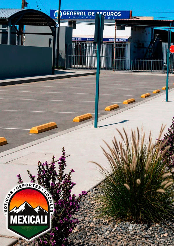 Picture of undefined