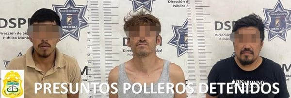 Picture of undefined