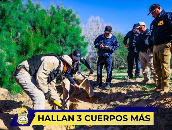 Picture of undefined