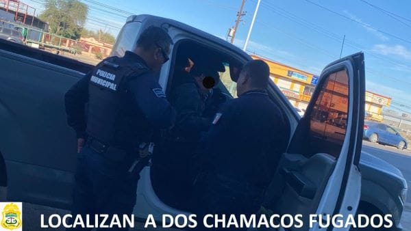 Picture of undefined