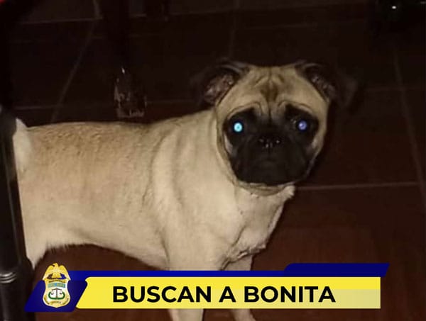 Picture of undefined