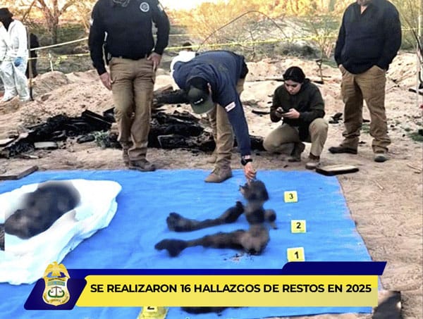 Picture of undefined