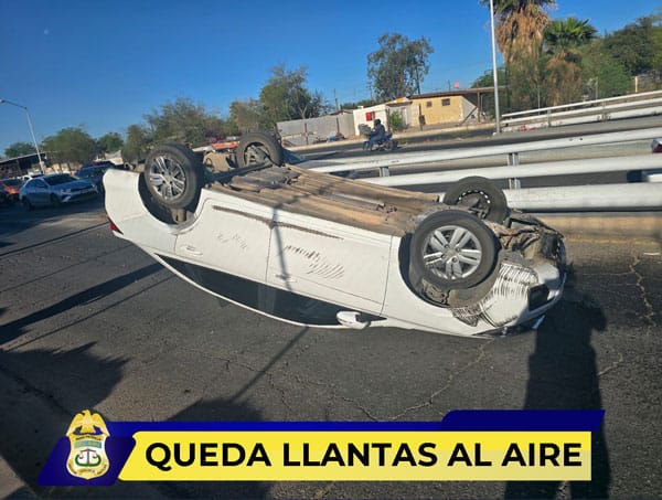 Picture of undefined