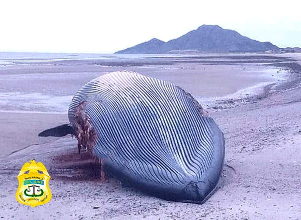 Picture of undefined