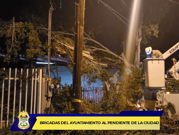 Picture of undefined